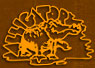 Alligator